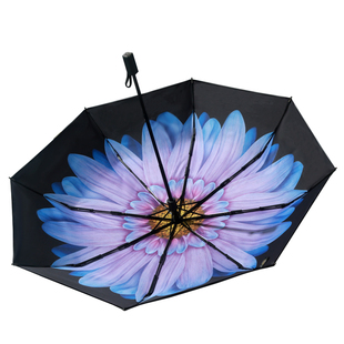 banana小黑胶伞双层防晒防紫外线焦遮太阳伞女晴雨伞两用下upf50+