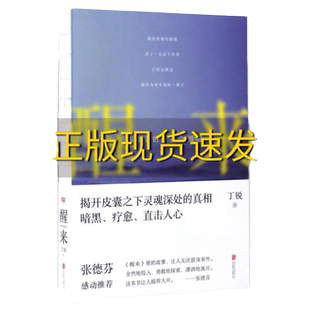 【正版书包邮】 九成新 醒来凡真实的必会相遇 丁锐 北京联合出版公司