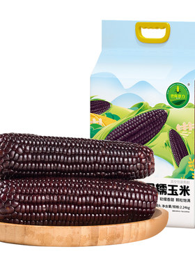 世际德力黑糯玉米非转基因花青素