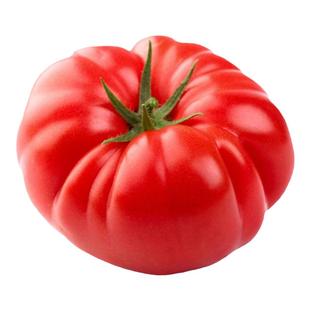 马蹄大番茄种子传家宝大西红柿种籽老品种蔬菜孑苗冰淇淋是什么