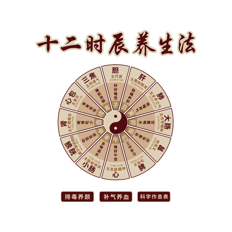 网红养生店氛围布置中医馆装饰挂画贴文化形象背景墙面十二时辰法