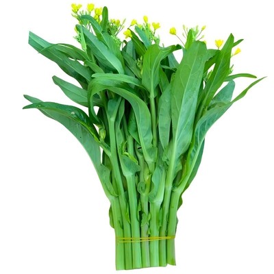 热卖蔬菜种子大全多买多赠