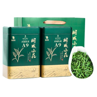 霍将军桐城小花2026新茶叶A9罐装安徽明前特级春绿茶自己喝250克