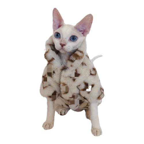 冬季斯芬克斯德文无毛猫衣服皮草加厚保暖厚外套潮牌摇粒绒防脱毛
