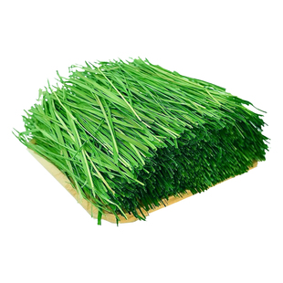 侏儒兔子专用提摩西草烘干豚鼠粮荷兰猪草料幼兔食用苜蓿草料兔粮