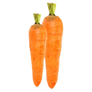 黑田五寸参胡萝卜种子日本三红胡萝卜种籽水果萝卜春四季蔬菜种孑