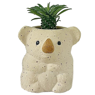 铁甲麒麟多肉植物考拉盆栽办公室桌面幼儿园好养活绿植可爱送礼物