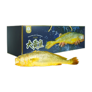 闽峡宁德深海野化大黄鱼1只1.8~2斤新鲜海捕活鱼速冻高端礼盒包装