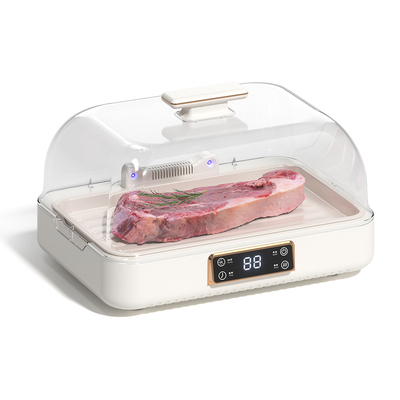 德国解冻器家用神器保鲜快速全自动导热板化冻肉类牛排恒温大容量
