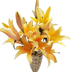 晚霞香水百合鲜花云南基地直发客厅装饰插花橙色插花百合花鲜切花
