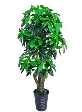 发财树落地盆栽塑料客厅仿真植物
