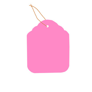 100张PVC彩色塑料植物吊签牌花卉园艺盆栽小挂牌苗木吊牌多肉标签