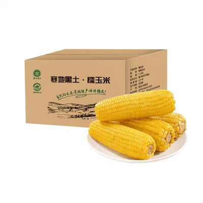 东北真空包装黏玉米棒黄糯苞米现摘甜粒粘真空装早餐即食