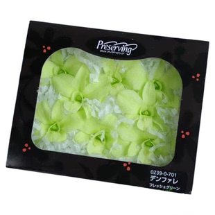 兰花永生花02390进口大地农园保鲜花00340大叶蕙兰diy圣诞树配材