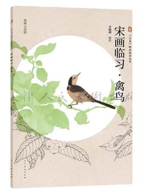 宋画临习禽鸟视频解析