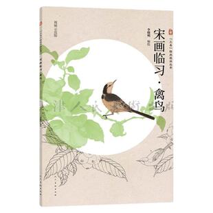 【视频解析】宋画临习 禽鸟 三易绘画技法丛书孙其峰画集教学笔记图例范本步骤解析美术初学传统国画写意牡丹花卉禽鸟入门