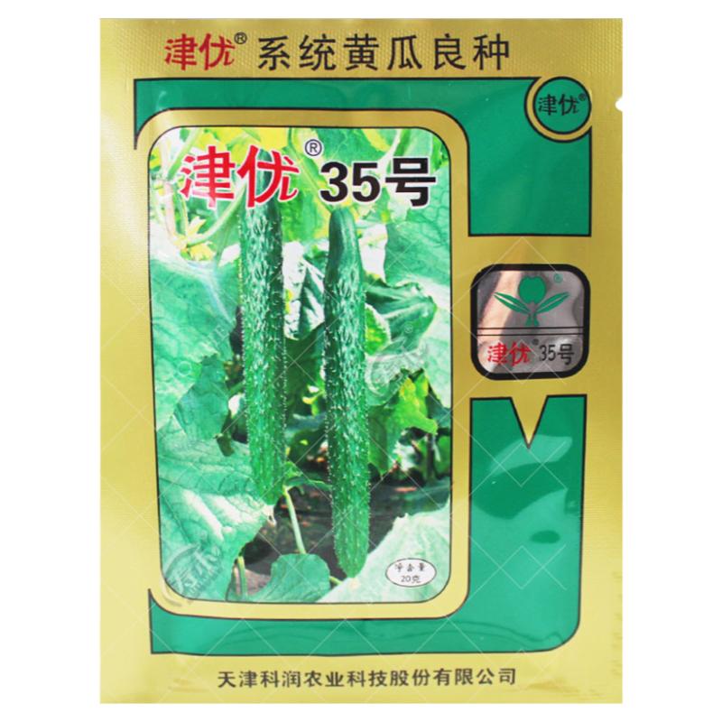 早熟耐寒绿肉黄瓜种子