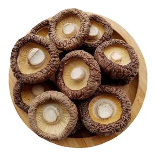 东北特产长白山椴木小香菇无根野生特级菌类珍珠菇煲汤食材