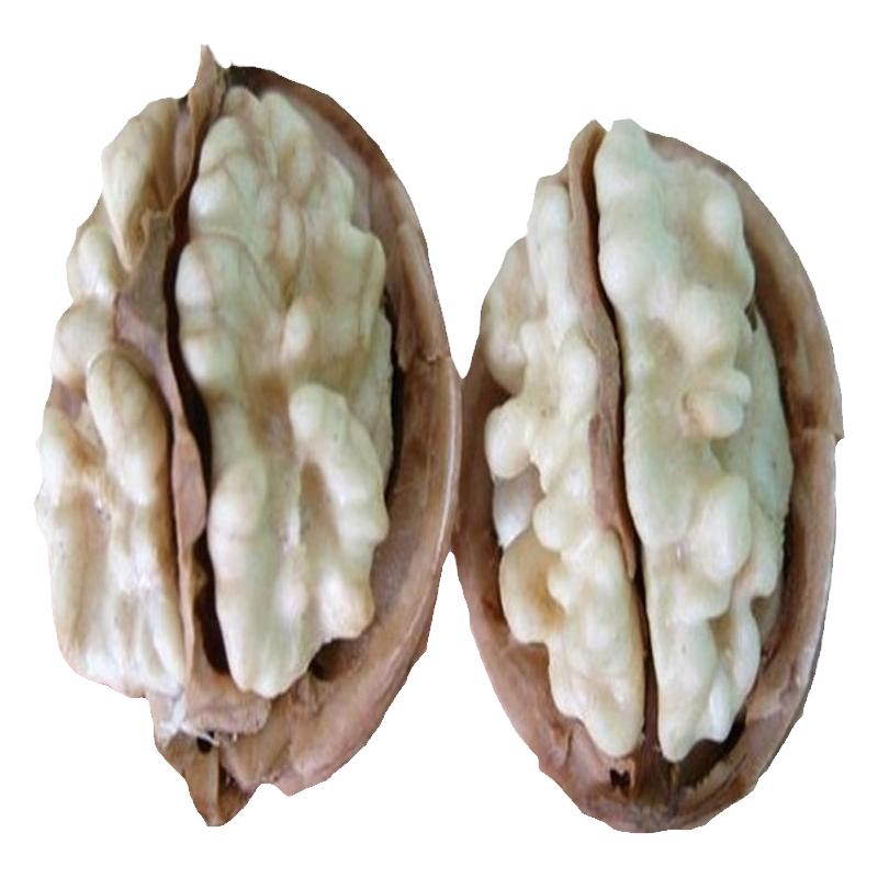 新鲜湿核桃去青皮核桃新鲜嫩脆香