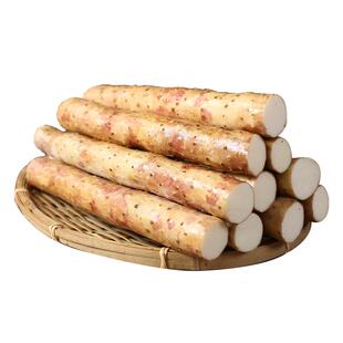 【蠡人蠡品】蠡县小白嘴山药70cm+新鲜4.5斤