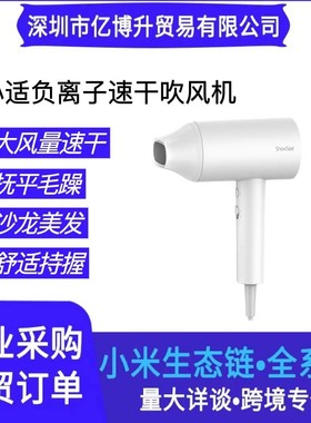 小适便携吹风机网红家用理发店大功率男女负离子护发静音电吹风筒