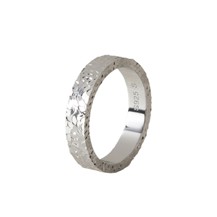 素图戒指925银碎冰冰鱼鳞指环简约小众设计冷淡风轻奢高级食指戒