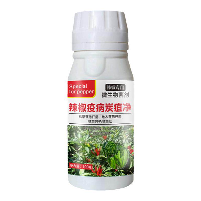 辣椒疫病清辣椒杀菌剂辣椒卷叶病炭疽病病毒病烂果病辣椒病菌清