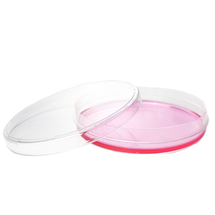 WHB细胞培养皿一次性TC处理塑料培养皿辐照灭菌35mm60mm100mm150mm培养皿带盖平底带裙边培养皿无酶无热源