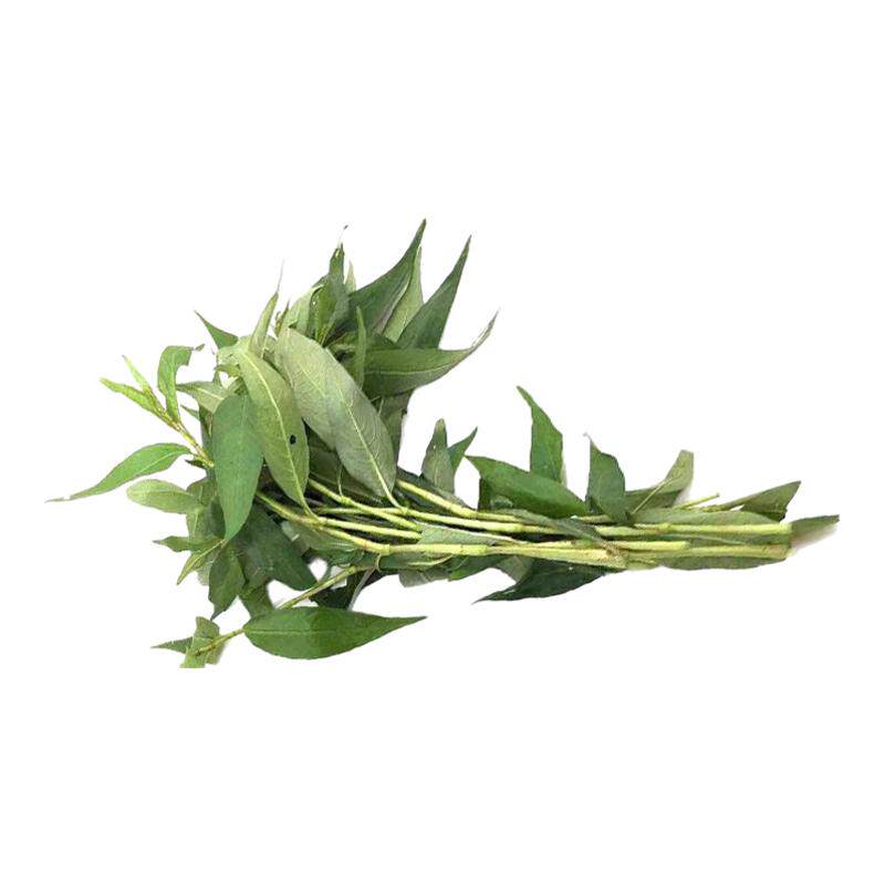 新鲜叻沙叶东南亚香料叻香柳香菜