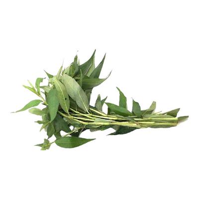 新鲜叻沙叶东南亚香料叻香柳香菜