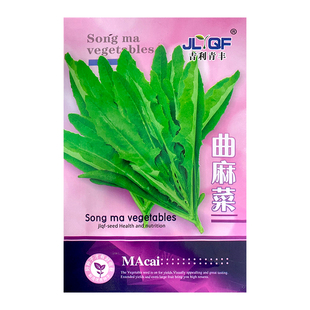 苦菜种子种籽曲麻菜苦麦菜蔬菜四季菜盆栽籽种孑苦麦菜籽菜种春季