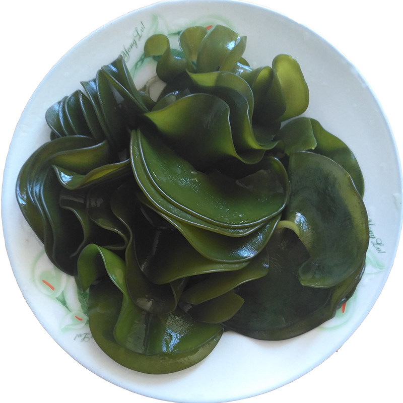 海白菜海木耳新鲜海木耳海灵芝