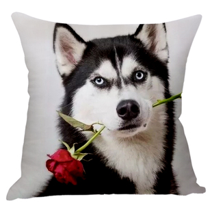 哈士奇抱枕二哈表情包被子两用搞怪男生宠物枕头双面照片沙发靠垫