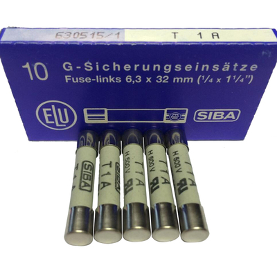 陶瓷管保险丝SIBA7006565