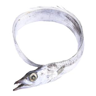 带鱼新鲜冷冻特级大非带鱼段整箱包邮东海小眼