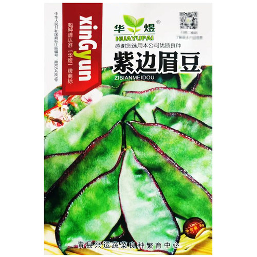 紫边大扁豆种子高产红蛾眉豆菜豆盆栽阳台庭院农家四季播蔬菜种籽