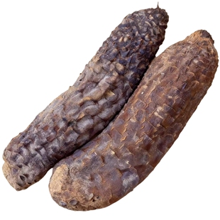 肉苁蓉沙漠人参正宗新疆和田大芸滋补养生整根硬质肉苁蓉泡酒泡茶