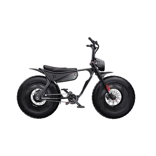 Polyride新款P1Ultra城市出行通勤越野减震胖胎电助力电动自行车