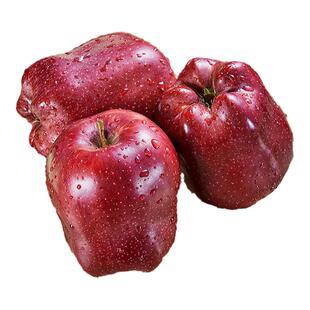 甘肃天水花牛苹果10斤新鲜水果整箱包邮应当季红蛇粉面丑当季平果