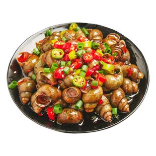 螺尊麻辣田螺冷冻熟食开袋加热即食钉螺香辣嗦螺蛳烧烤夜宵店商用