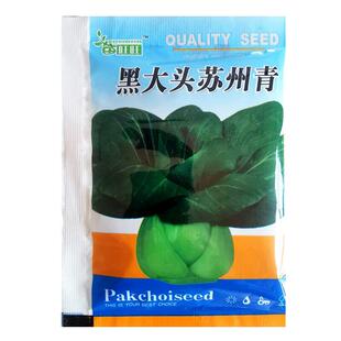 黑大头苏州青油菜种子孑秋冬耐寒高产黑油上海青蔬菜籽四季青菜