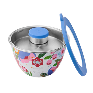 Swell联名款沙拉碗家用2025新款高颜值不锈钢厨房水果餐盒套装