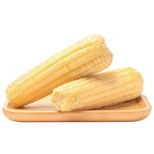 【超值加赠2根】东北吉林鲜食玉米8根甜糯香黏粘白玉米棒真空包装