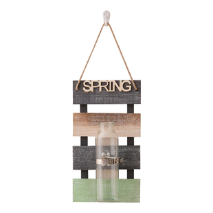 客厅卧室墙面装饰挂件墙上墙壁挂房间布置创意水培瓶墙饰挂饰品