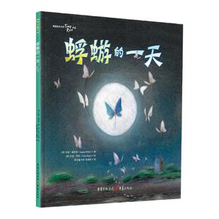 蜉蝣的一天 3~8岁亲子共读趣味认知生命的奥秘热爱珍惜生命的本质想象力儿童绘本早教书籍幼儿园睡前故事书宝宝书童书青豆书坊正版