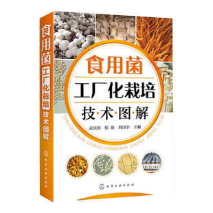 食用菌工厂化栽培技术图解 双孢菇金针菇蛹虫草工厂化生产菌种制作栽培病虫害防治保鲜加工技术书籍 机械自动化设备菌种发酵技术书