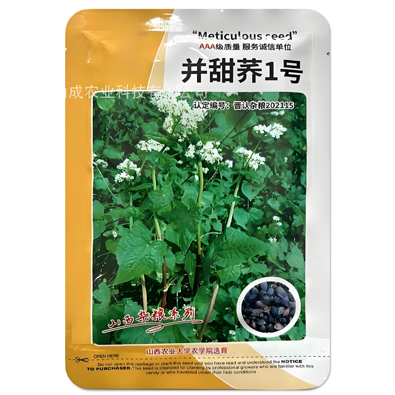 并甜荞1号甜荞麦种子五谷杂粮
