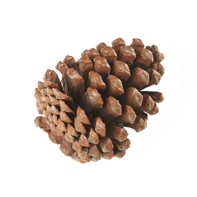 干松果松塔圣诞树装饰配件摆件