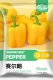 20 оригинальных семян Sellang (желтый) сладкий перец (купить 2 получить 1 бесплатно)