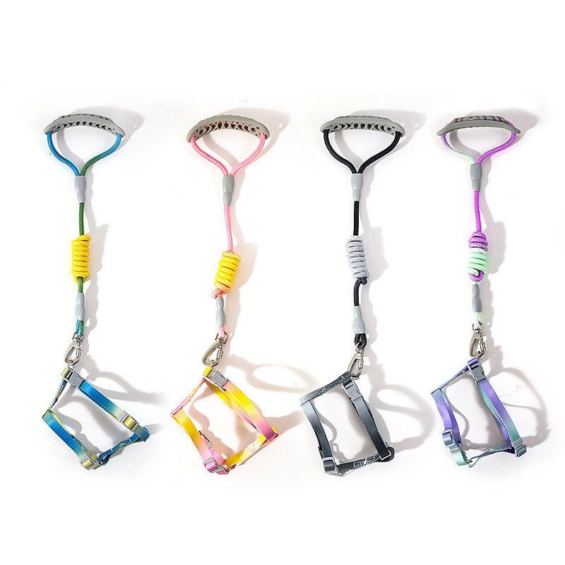 Z宠物工字牵引绳大型猫户外遛绳绳七彩专用圆猫防批勒渐变色牵引